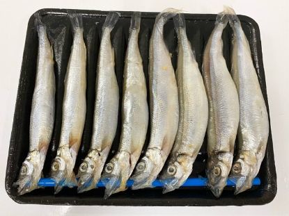 Picture of Premium Shishamo Fish