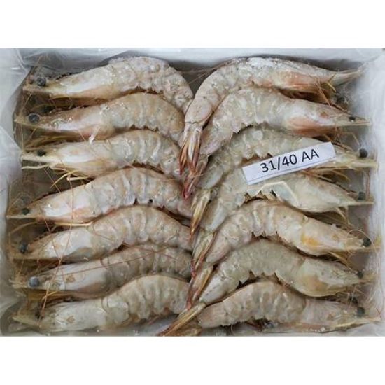 Picture of Indonesia Sea Prawn AA 31/40