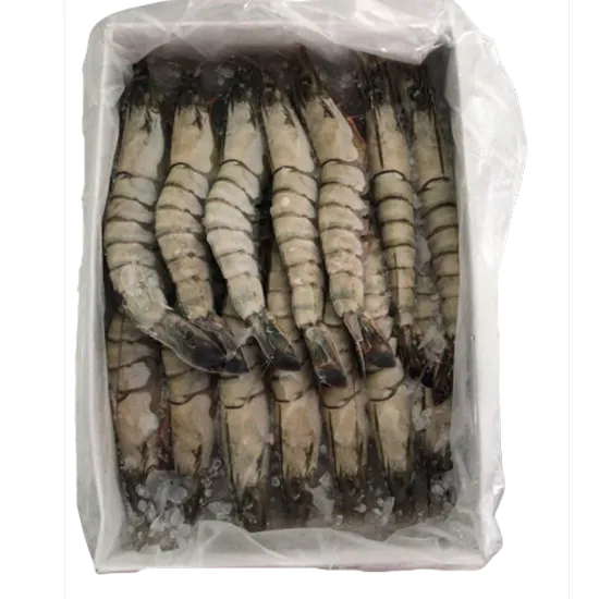 Picture of Frozen Live Tiger Prawn 41-50