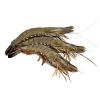 Picture of Tiger Prawn 41-50